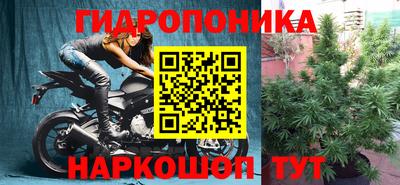 мдпв Пугачёв