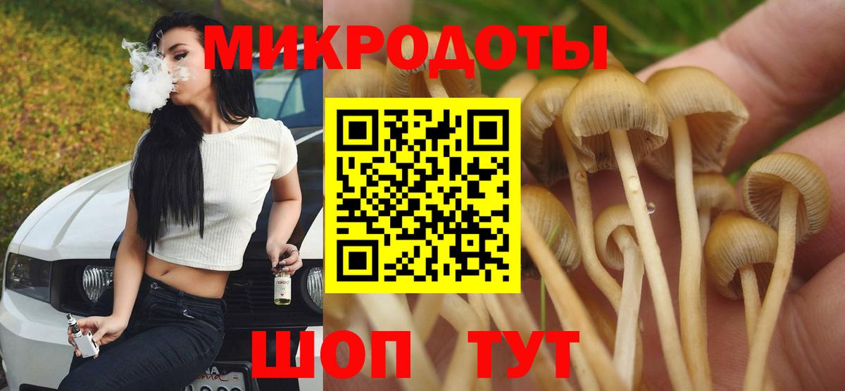 Тавда  Галлюциногенные грибы MAGIC MUSHROOMS  Вход с VPN 